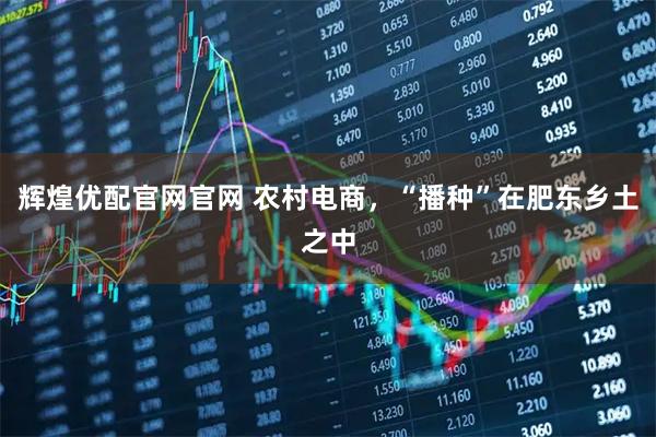 辉煌优配官网官网 农村电商,“播种”在肥东乡土之中