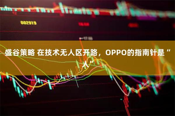 盛谷策略 在技术无人区开路，OPPO的指南针是“人”