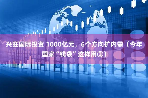 兴旺国际投资 1000亿元，6个方向扩内需（今年国家“钱袋”这样用③）