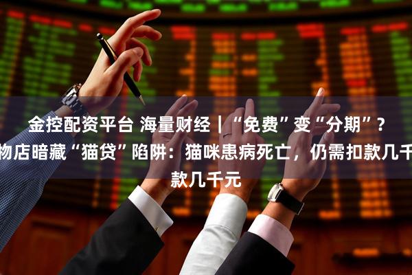 金控配资平台 海量财经｜“免费”变“分期”？宠物店暗藏“猫贷”陷阱：猫咪患病死亡，仍需扣款几千元