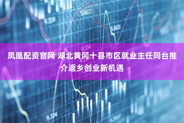 凤凰配资官网 湖北黄冈十县市区就业主任同台推介返乡创业新机遇