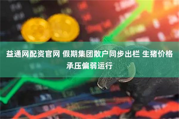 益通网配资官网 假期集团散户同步出栏 生猪价格承压偏弱运行